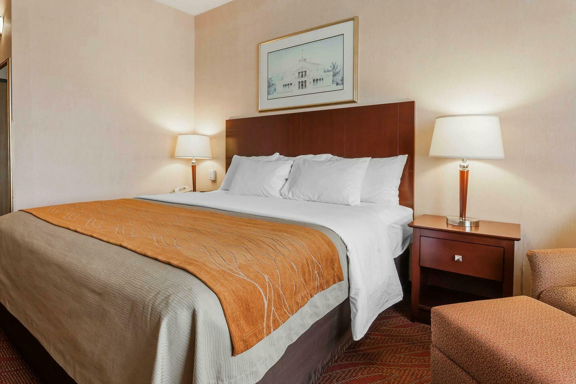 Comfort Inn & Suites Kelso - Longview Exteriér fotografie